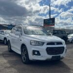 6c3ca700-3bd1-4de9-91ba-c6b3979da926